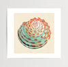 Lone Shell – Coastal Beach Art Print