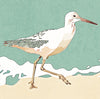 Sandpiper walking along the shoreline at low tide, coastal bird art print displayed in detail
