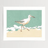 Sandpiper walking along the shoreline at low tide, coastal bird art print.