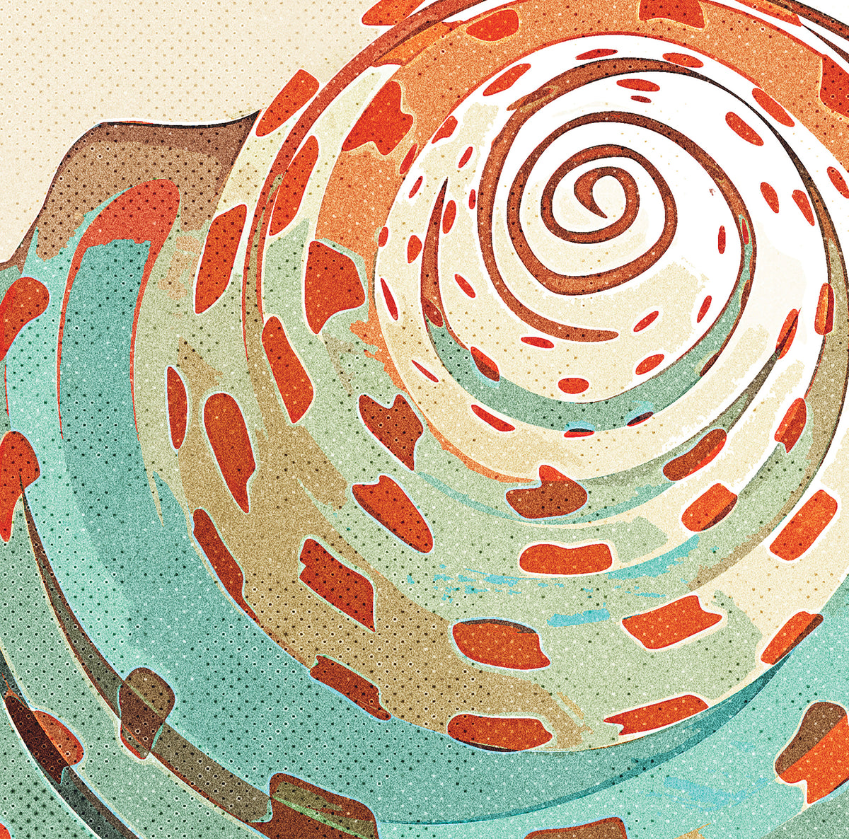 detail look at a colorful shell with lithographic feel