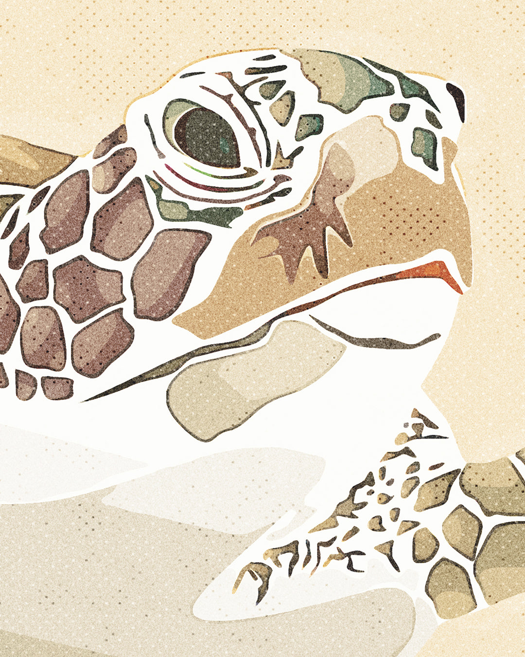 Sea turtle swimming in a gentle motion on a neutral background, coastal marine life art print displayed in detail