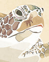 Sea turtle swimming in a gentle motion on a neutral background, coastal marine life art print displayed in detail